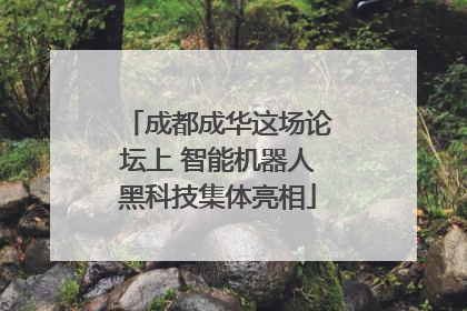 成都成华这场论坛上 智能机器人黑科技集体亮相