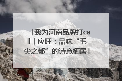 我为河南品牌打call丨应旺：品味“毛尖之都”的诗意栖居