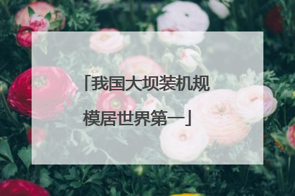 我国大坝装机规模居世界第一
