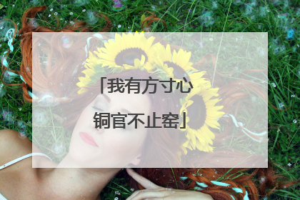 我有方寸心 铜官不止窑