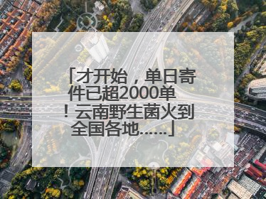 才开始，单日寄件已超2000单！云南野生菌火到全国各地……