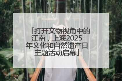 打开文物视角中的江南，上海2025年文化和自然遗产日主题活动启幕