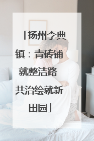 扬州李典镇：青砖铺就整洁路 共治绘就新田园