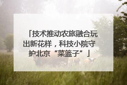技术推动农旅融合玩出新花样，科技小院守护北京“菜篮子”