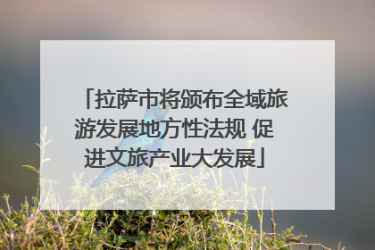 拉萨市将颁布全域旅游发展地方性法规 促进文旅产业大发展