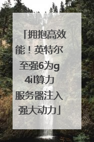 拥抱高效能！英特尔至强6为g4il算力服务器注入强大动力