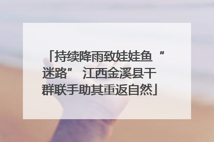 持续降雨致娃娃鱼“迷路” 江西金溪县干群联手助其重返自然