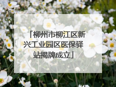 柳州市柳江区新兴工业园区医保驿站揭牌成立