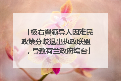 极右翼领导人因难民政策分歧退出执政联盟，导致荷兰政府垮台