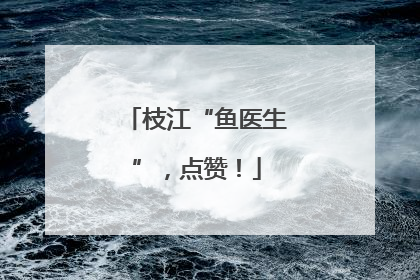 枝江“鱼医生”，点赞！