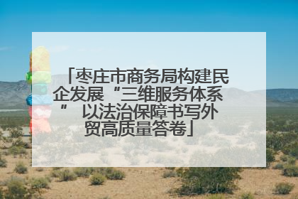 枣庄市商务局构建民企发展“三维服务体系” 以法治保障书写外贸高质量答卷