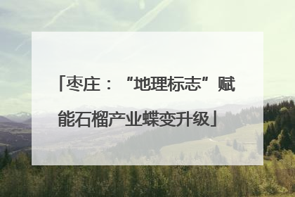 枣庄：“地理标志”赋能石榴产业蝶变升级