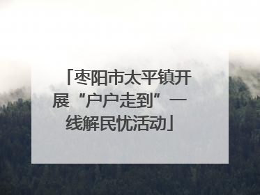 枣阳市太平镇开展“户户走到”一线解民忧活动