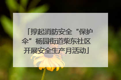 撑起消防安全“保护伞”杨园街道柴东社区开展安全生产月活动