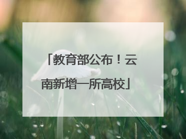 教育部公布！云南新增一所高校