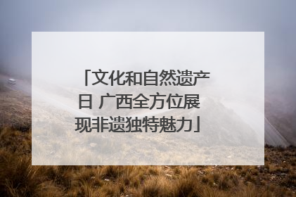 文化和自然遗产日 广西全方位展现非遗独特魅力