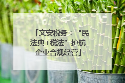 文安税务：“民法典+税法”护航企业合规经营