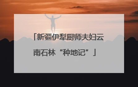 新疆伊犁厨师夫妇云南石林“种地记”