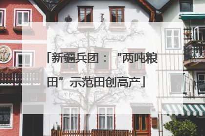 新疆兵团：“两吨粮田”示范田创高产
