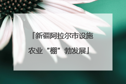 新疆阿拉尔市设施农业“棚”勃发展