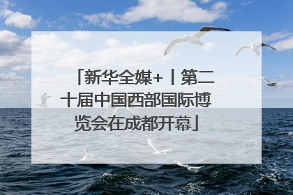 新华全媒+丨第二十届中国西部国际博览会在成都开幕