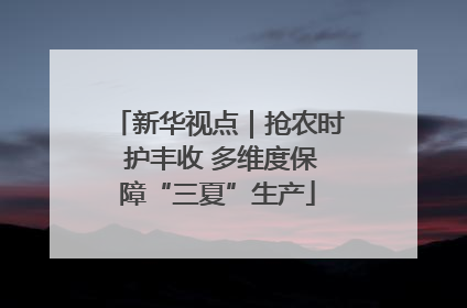 新华视点｜抢农时 护丰收 多维度保障“三夏”生产