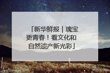 新华鲜报｜瑰宝更青春！看文化和自然遗产新光彩