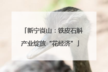 新宁崀山：铁皮石斛产业绽放“花经济”