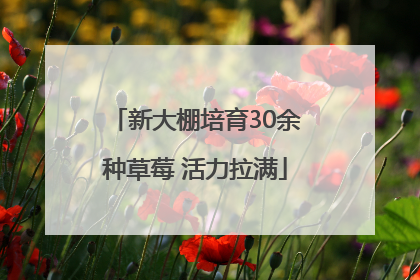 新大棚培育30余种草莓 活力拉满
