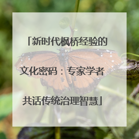 新时代枫桥经验的文化密码：专家学者共话传统治理智慧