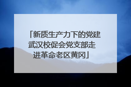 新质生产力下的党建 武汉校促会党支部走进革命老区黄冈