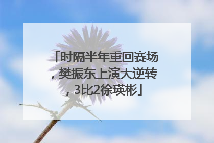 时隔半年重回赛场，樊振东上演大逆转，3比2徐瑛彬