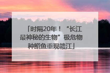 时隔20年！“长江最神秘的生物”极危物种鳤鱼重现赣江