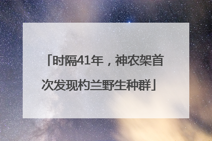 时隔41年，神农架首次发现杓兰野生种群