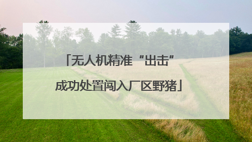 无人机精准“出击” 成功处置闯入厂区野猪