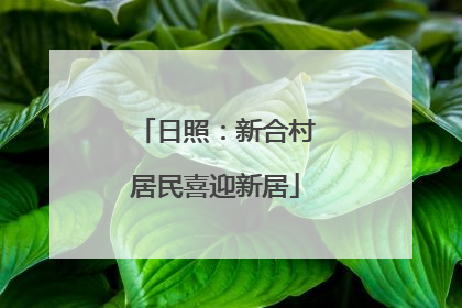 日照：新合村居民喜迎新居