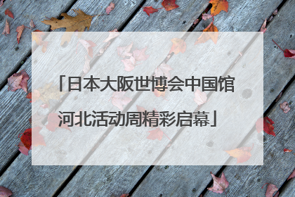 日本大阪世博会中国馆河北活动周精彩启幕