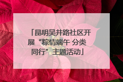 昆明吴井路社区开展“粽情端午 分类同行”主题活动