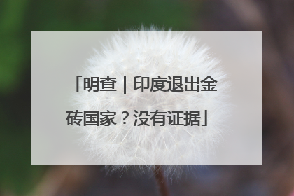 明查｜印度退出金砖国家？没有证据
