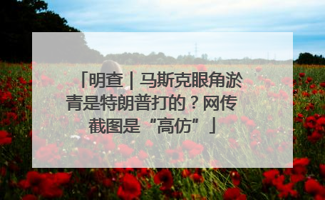 明查｜马斯克眼角淤青是特朗普打的？网传截图是“高仿”