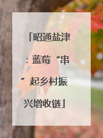 昭通盐津：蓝莓“串”起乡村振兴增收链