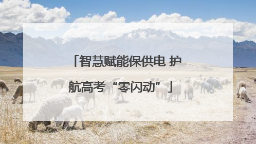 智慧赋能保供电 护航高考“零闪动”