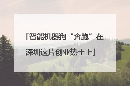 智能机器狗“奔跑”在深圳这片创业热土上