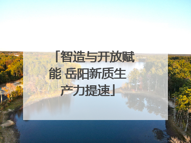 智造与开放赋能 岳阳新质生产力提速