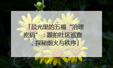 晨光里的五福“治理密码”：跟拍社区巡查，探秘烟火与秩序
