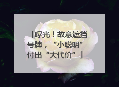 曝光！故意遮挡号牌，“小聪明”付出“大代价”