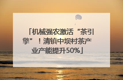 机械强农激活“茶引擎”！清镇中坝村茶产业产能提升50%