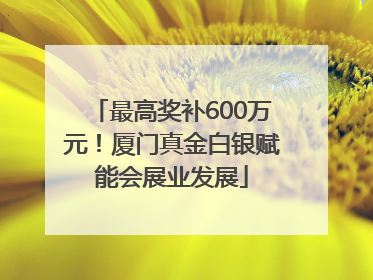最高奖补600万元！厦门真金白银赋能会展业发展