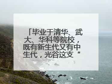 毕业于清华、武大、华科等院校，既有新生代又有中生代，光谷这支“理工男团”为何“出道”？
