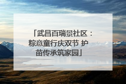 武昌百瑞景社区：粽意童行庆双节 护苗传承筑家园
